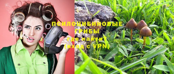 не бодяженный Алзамай