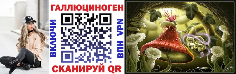Псилоцибиновые грибы Cubensis Купить Отрадное